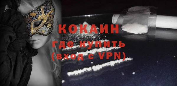 прущие грибы Вязьма