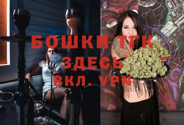 прущие грибы Вязьма