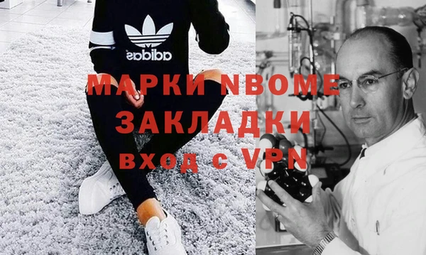 индика Вяземский