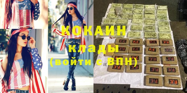 прущие грибы Вязьма