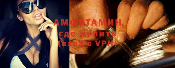 прущие грибы Вязьма