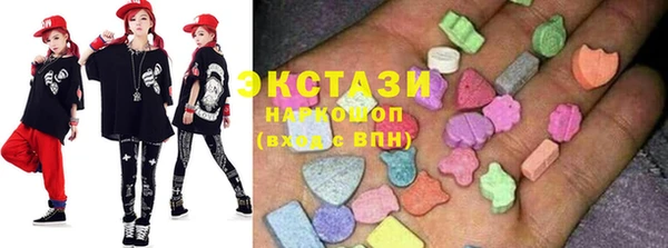 индика Вяземский