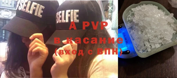 индика Вяземский