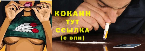 индика Вяземский