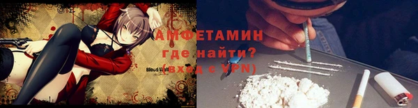индика Вяземский