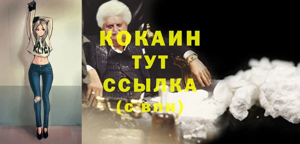 прущие грибы Вязьма