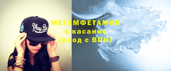 индика Вяземский