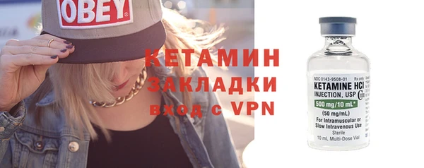 индика Вяземский