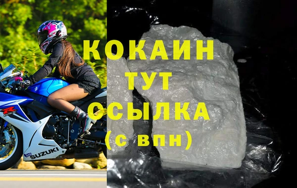 индика Вяземский