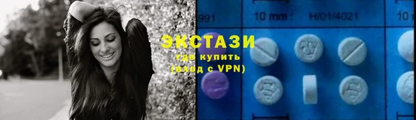индика Вяземский