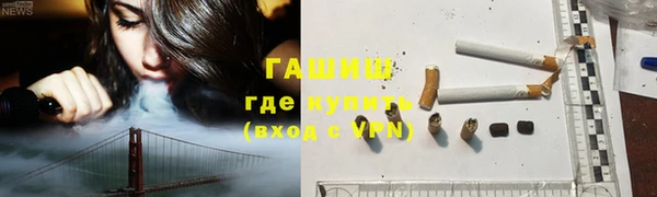 индика Вяземский