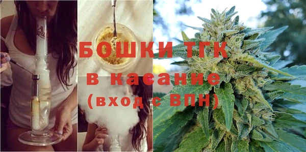 прущие грибы Вязьма