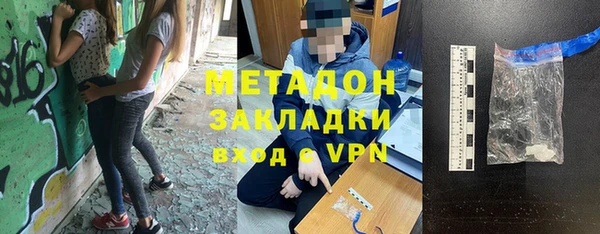 индика Вяземский