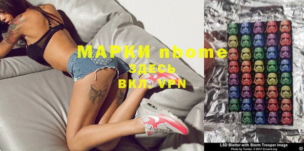 индика Вяземский