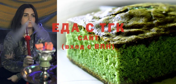 индика Вяземский