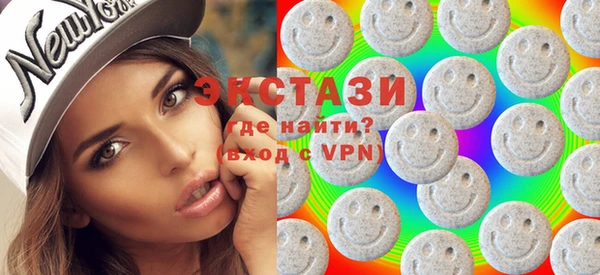 индика Вяземский