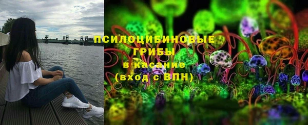 прущие грибы Вязьма