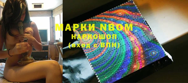 индика Вяземский