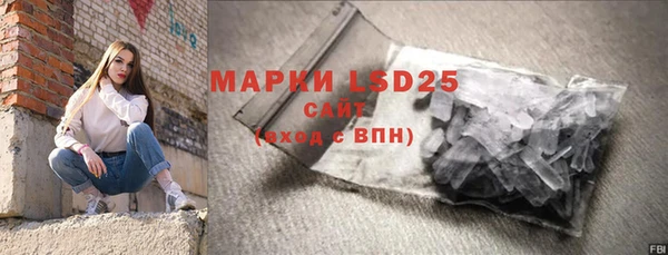 индика Вяземский