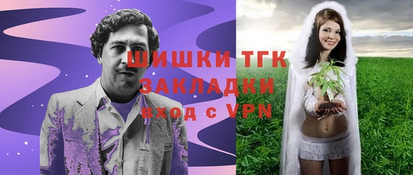 индика Вяземский