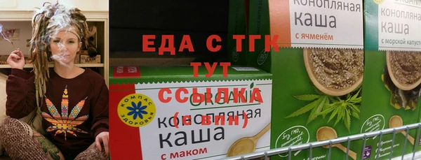 индика Вяземский