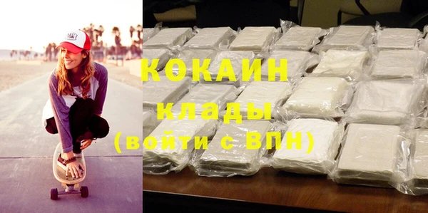 прущие грибы Вязьма