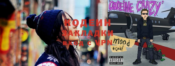 индика Вяземский