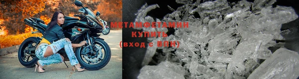 прущие грибы Вязьма